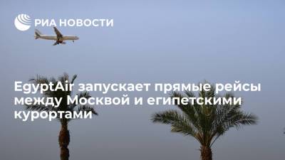 Владимир Путин - Авиакомпания EgyptAir запускает семь рейсов в неделю между египетскими курортами и Москвой - ria.ru - Россия - Москва - Египет - с. 9 Августа