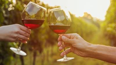 Франция готовится к сокращению производства вина из-за погодных условий - enovosty.com - Франция - Сша