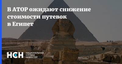 Дмитрий Горин - В АТОР ожидают снижение стоимости путевок в Египет - nsn.fm - Россия - Египет