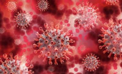 Nature (Великобритания): каким образом коронавирус поражает клетки и почему штамм «Дельта» так опасен - inosmi.ru - Англия - Сан-Диего