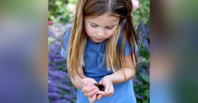 Кейт Миддлтон - принцесса Шарлотта - Кейт Миддлтон опубликовала фото дочери с бабочками - focus.ua - Украина