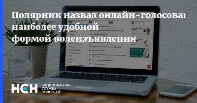 Полярник назвал онлайн-голосование наиболее удобной формой волеизъявления - nsn.fm - Россия - Москва