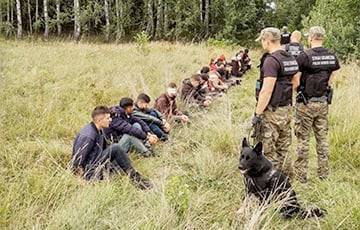 За три дня польские пограничники у границы с Беларусью задержали 349 мигрантов - charter97.org - Белоруссия - Польша - Ирак - Афганистан