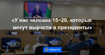 Александр Лукашенко - «У нас человек 15−20, которые могут вырасти в президенты» - news.mail.ru - Россия - Украина - Белоруссия - Литва