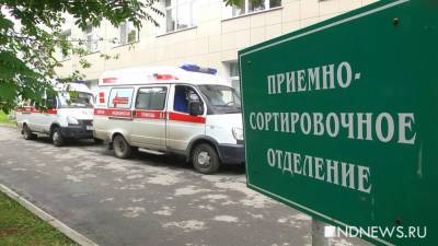 В России выявили еще 18,3 тыс. заболевших коронавирусом - newdaynews.ru - Россия - Санкт-Петербург