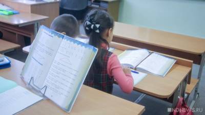 В краснодарской школе набрали первый «Ы» класс - newdaynews.ru - Краснодар