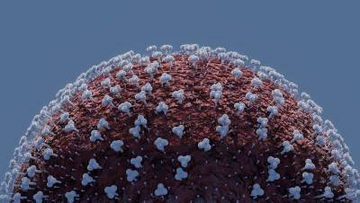 В ВОЗ заявили, что коронавирус-Дельта обнаружен уже в 170 странах и мира - cursorinfo.co.il - Юар