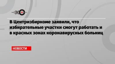 Николай Булаев - В Центризбиркоме заявили, что избирательные участки смогут работать и в красных зонах коронавирусных больниц - echo.msk.ru