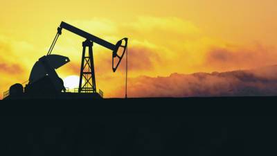 Страны ОПЕК+ продолжат согласованный курс по наращиванию добычи нефти - mir24.tv