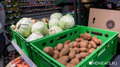 Фермеры Сургутского района предупредили – цены на продукцию вырастут на 15 процентов - newdaynews.ru - район Сургутский