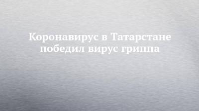 Любовь Авдонина - Коронавирус в Татарстане победил вирус гриппа - chelny-izvest.ru - республика Татарстан