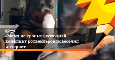 «Маму не тронь»: шуточный конфликт ротвейлеров повеселил интернет - ridus.ru