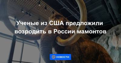 Ученые из США предложили возродить в России мамонтов - news.mail.ru - Россия - Сша