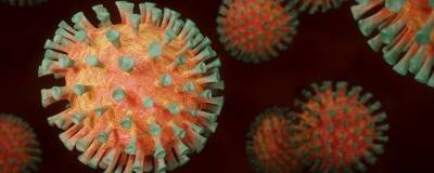 В Севастополе наблюдается снижение заболеваемости коронавирусом: 98 случаев за сутки - runews24.ru - Севастополь