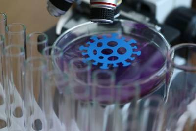 Штаммы коронавируса: чем отличаются и когда прекратятся мутации - spb.mk.ru