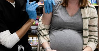 В Германии рекомендуют вакцинировать беременных и кормящих женщин - rus.delfi.lv - Германия - Латвия