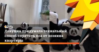 Девушка придумала гениальный способ спрятать пса от хозяина квартиры - ridus.ru
