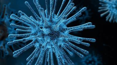 Ограничения по коронавирусу ужесточили в городе Путянь после вспышки инфекции - inforeactor.ru - Путянь
