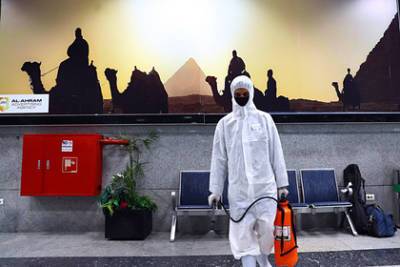 Халед Аль-Анани - В Египте оценили возможность введения ограничений для российских туристов - lenta.ru - Египет