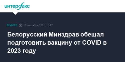 Дмитрий Пиневич - Белорусский Минздрав обещал подготовить вакцину от COVID в 2023 году - interfax.ru - Москва - Белоруссия - Минск