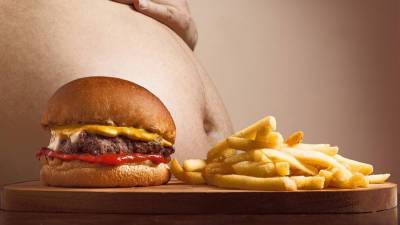Ученые: Переедание не является главной причиной ожирения - newdaynews.ru - Сша - Канада - Дания