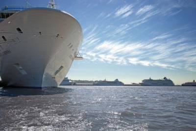 Цены могут вырасти на 20-25% из-за застрявших в порту Петербурга сотнях контейнеров - newsland.com - Индия - Бразилия - Петербург