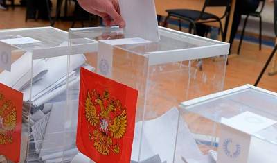 Памфилова ожидает почти полмиллиона наблюдателей на выборах в Госдуму - newizv.ru