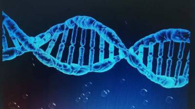 Учёные нашли сотни древних вирусов в ДНК млекопитающих - actualnews.org