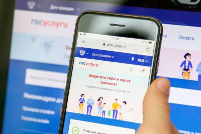 Пользователей госуслуг может перебросить на сайт мошенников - gubdaily.ru
