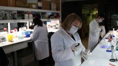 Российский учёный рассказал об испытаниях вакцины против коронавируса в виде йогурта - russian.rt.com - Россия - Санкт-Петербург