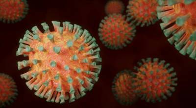 Еще у 189 человек выявили коронавирус в Ленобласти – данные на 15 сентября - ivbg.ru - Ленобласть обл. - Украина