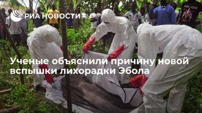 Ученые объяснили причину новой вспышки лихорадки Эбола - ria.ru - Москва