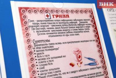 Анна Попова - Виктор Бобыря - В России начали прививочную кампанию против гриппа - bnkomi.ru - Россия