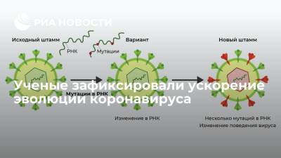 Ученые зафиксировали ускорение эволюции коронавируса - ria.ru - Москва - Австралия