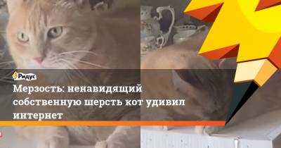 Мерзость: ненавидящий собственную шерсть кот удивил интернет - ridus.ru