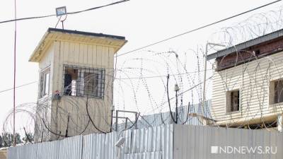 Из колонии в Тюмени сбежал заключенный - newdaynews.ru - Тюмень