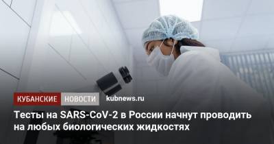 Тесты на SARS-CoV-2 в России начнут проводить на любых биологических жидкостях - kubnews.ru - Россия