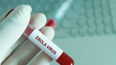 Вирус Эбола смог выжить в организме человека в течение 5 лет - mir24.tv - Франция - Гвинея