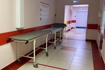 Новые вспышки лихорадки Эболы могут появиться из-за рецидивов у пациентов - ufacitynews.ru