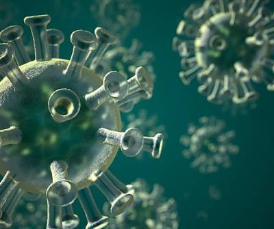 Ученые предоставили новое доказательство природного происхождения коронавируса - actualnews.org - Китай - Ухань - Лаос