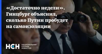 Владимир Путин - Александр Гинцбург - «Достаточно недели». Гинцбург объяснил, сколько Путин пробудет на самоизоляции - nsn.fm - Россия