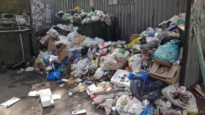 В Челябинске контейнерная площадка утонула в кучах мусора - newdaynews.ru - Челябинск