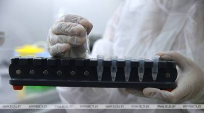 Ученые США предупредили о новой опасности эволюционировавшего коронавируса - belta.by - Белоруссия - Сша