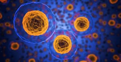 Ученые нашли способ получить «сверхчеловеческий» иммунитет от коронавируса - actualnews.org - Англия