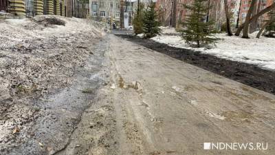 На Ямале ожидается внезапный снег – ГИБДД рекомендует автолюбителям «переобуться» - newdaynews.ru - округ Янао