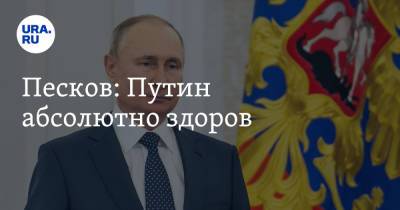 Владимир Путин - Дмитрий Песков - Песков: Путин абсолютно здоров - ura.news - Россия