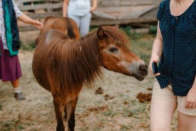 Екатерина Царёва: Моя любовь к лошадям случилась первого сентября в первом классе - 7info.ru - Рязань