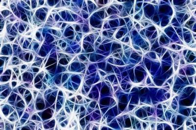 Учёные создали нейросеть, предсказывающую смерть от COVID-19 - actualnews.org