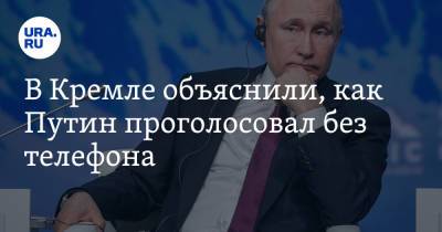 Владимир Путин - Дмитрий Песков - В Кремле объяснили, как Путин проголосовал без телефона - ura.news - Россия - Москва