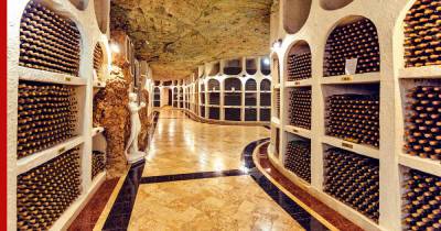 В Крыму решили собрать одну из крупнейших в мире коллекций вина - profile.ru - республика Крым